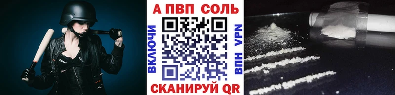 A PVP СК  Бердск 