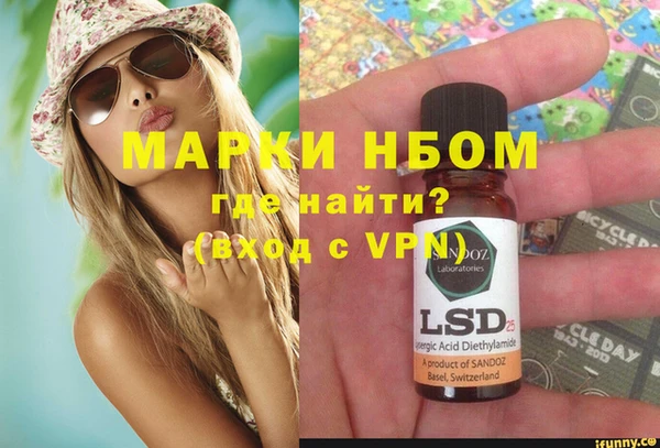 прущие грибы Алзамай