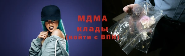 шишки Алексин