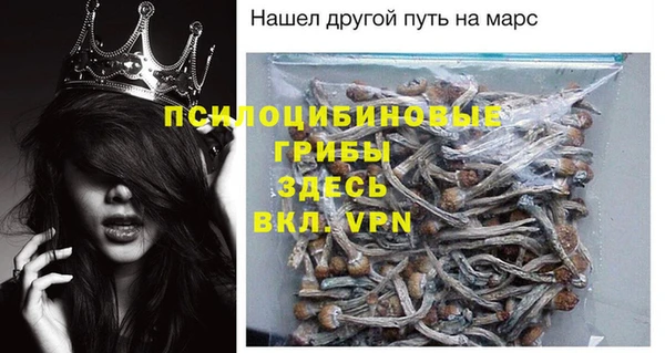 шишки Алексин
