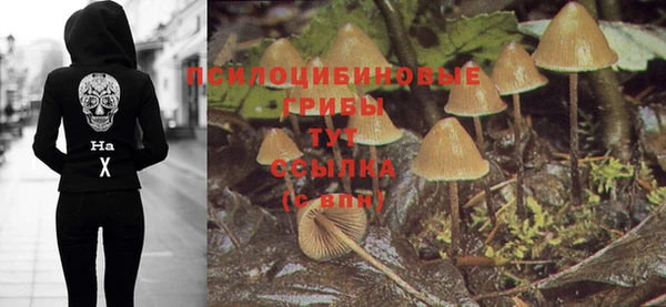 прущие грибы Алзамай
