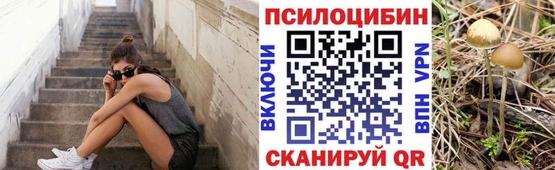 Псилоцибиновые грибы MAGIC MUSHROOMS  Бердск 