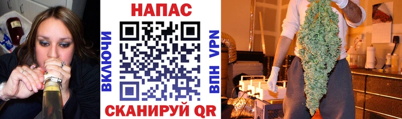 купить   Бердск  МАРИХУАНА планчик 